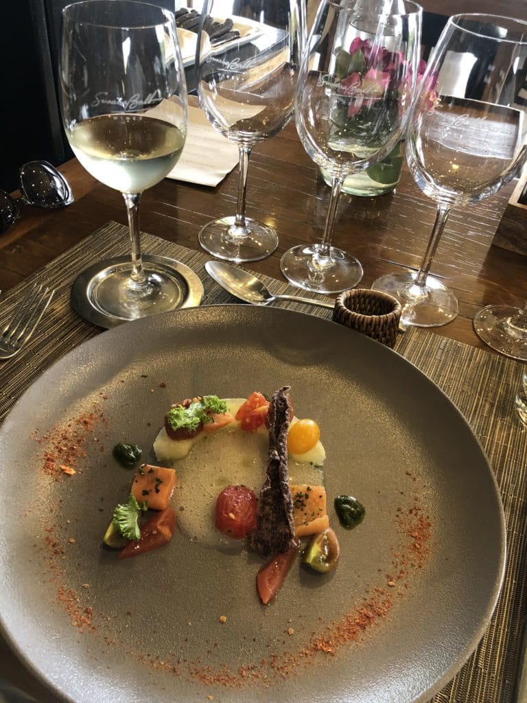 Qual vinícola visitar em Mendoza Susana Balbo
