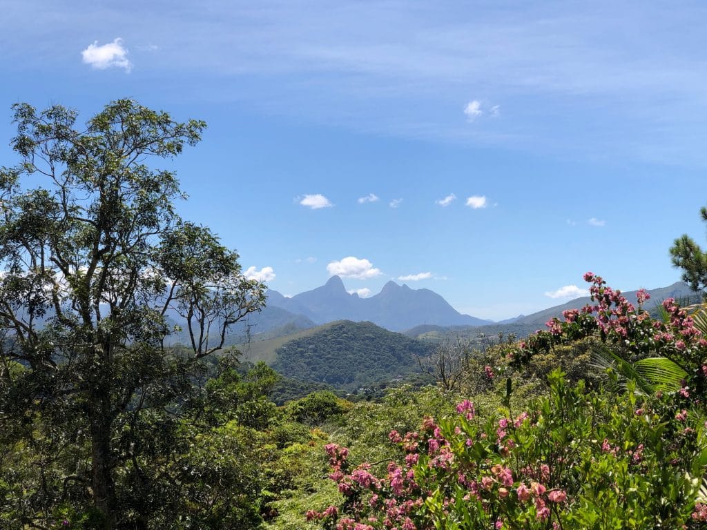 vista para as montanhas, flores e árvores do hotel com hidro e piscina em Teresópolis