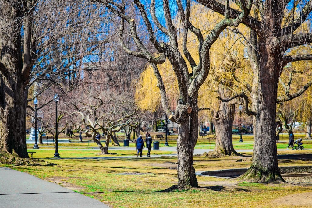 Parque em Boston. Árvores e pessoas caminhando