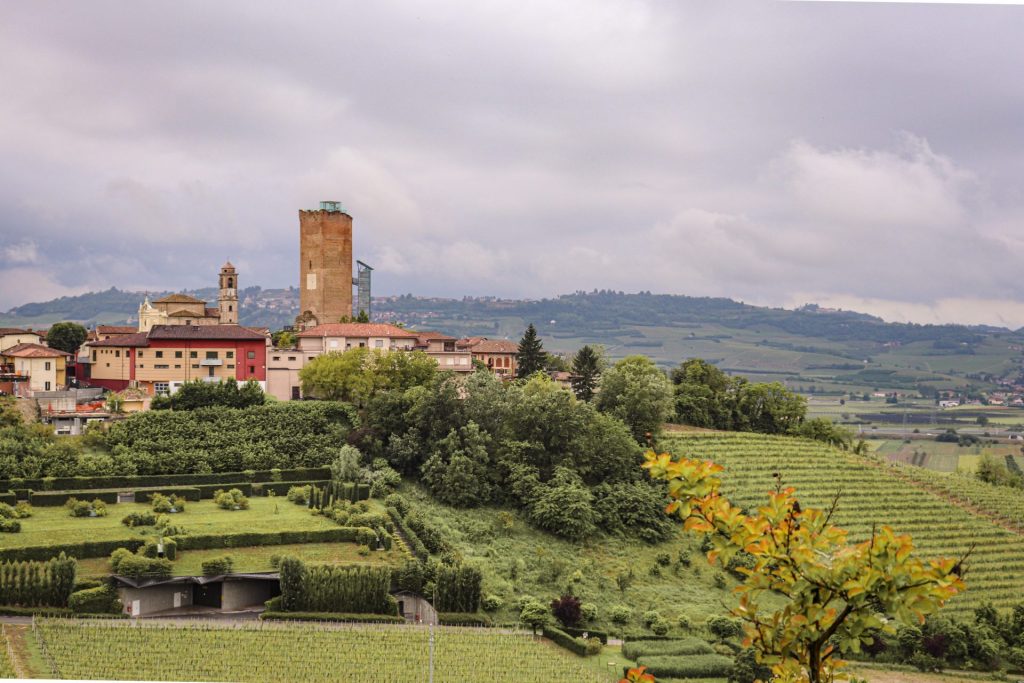 Vista de Barolo com parreiras e construções
