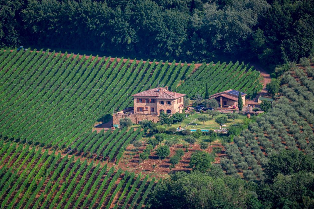 Imagem das parreiras de Montepulciano