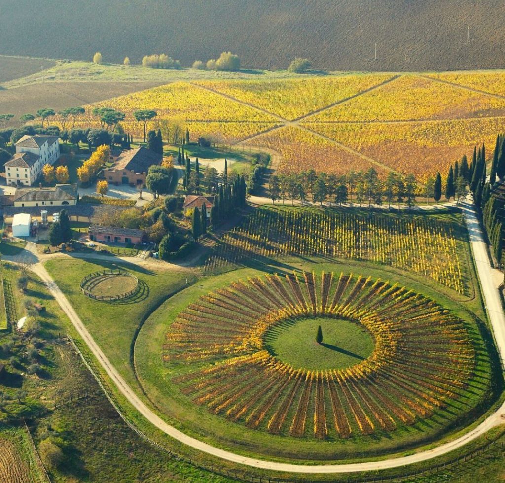 Imagem do alto da vinícola Avignonesi