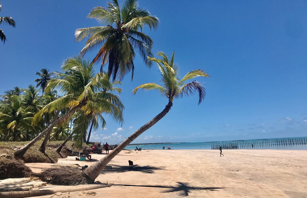 O que fazer em Maceió e São Miguel dos Milagres